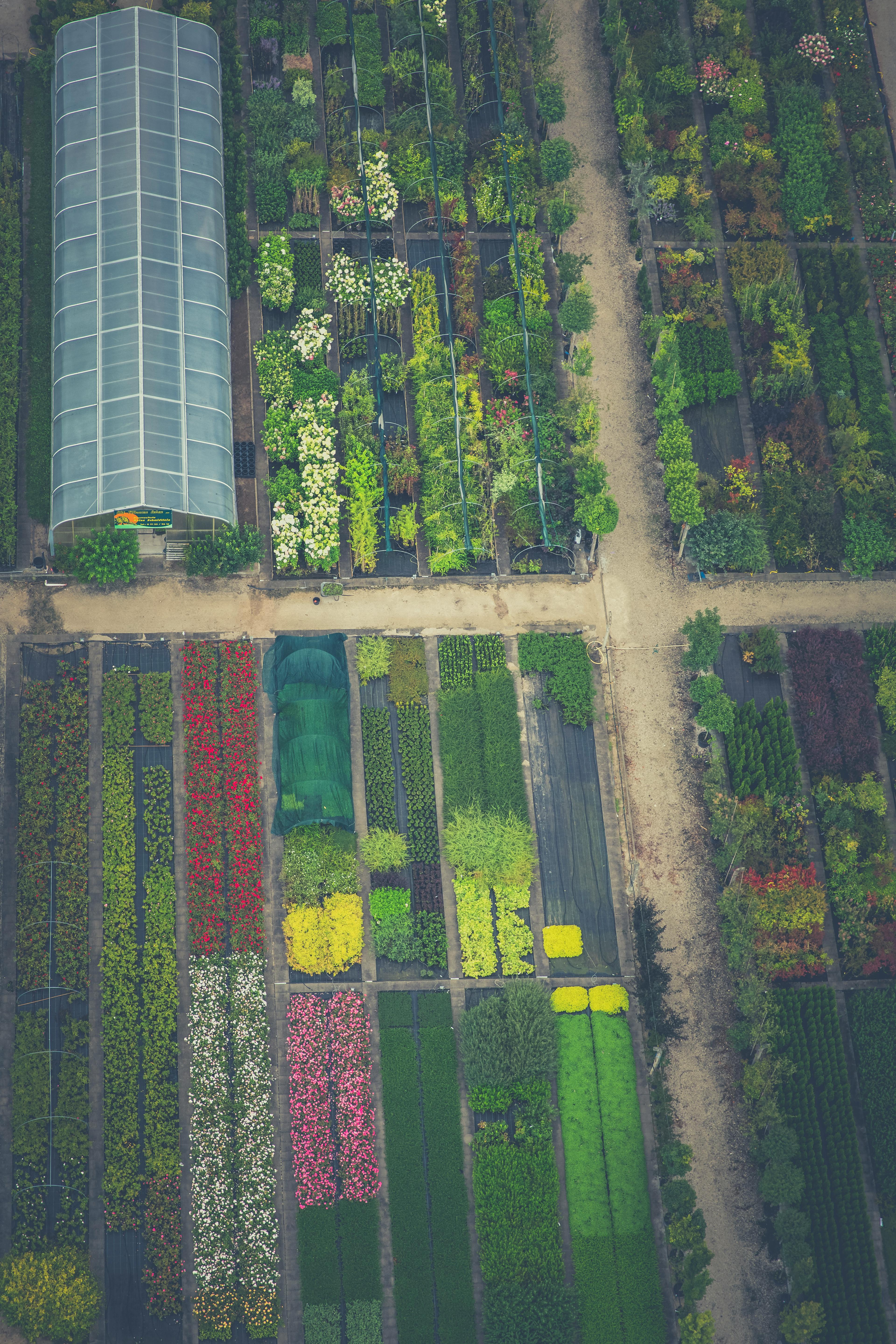 Beispiel einer Gartenplanung