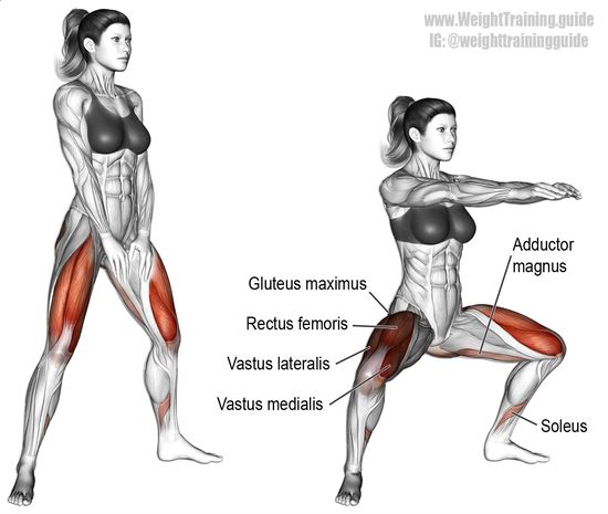 Beinstreckerübung für den Vastus Medialis