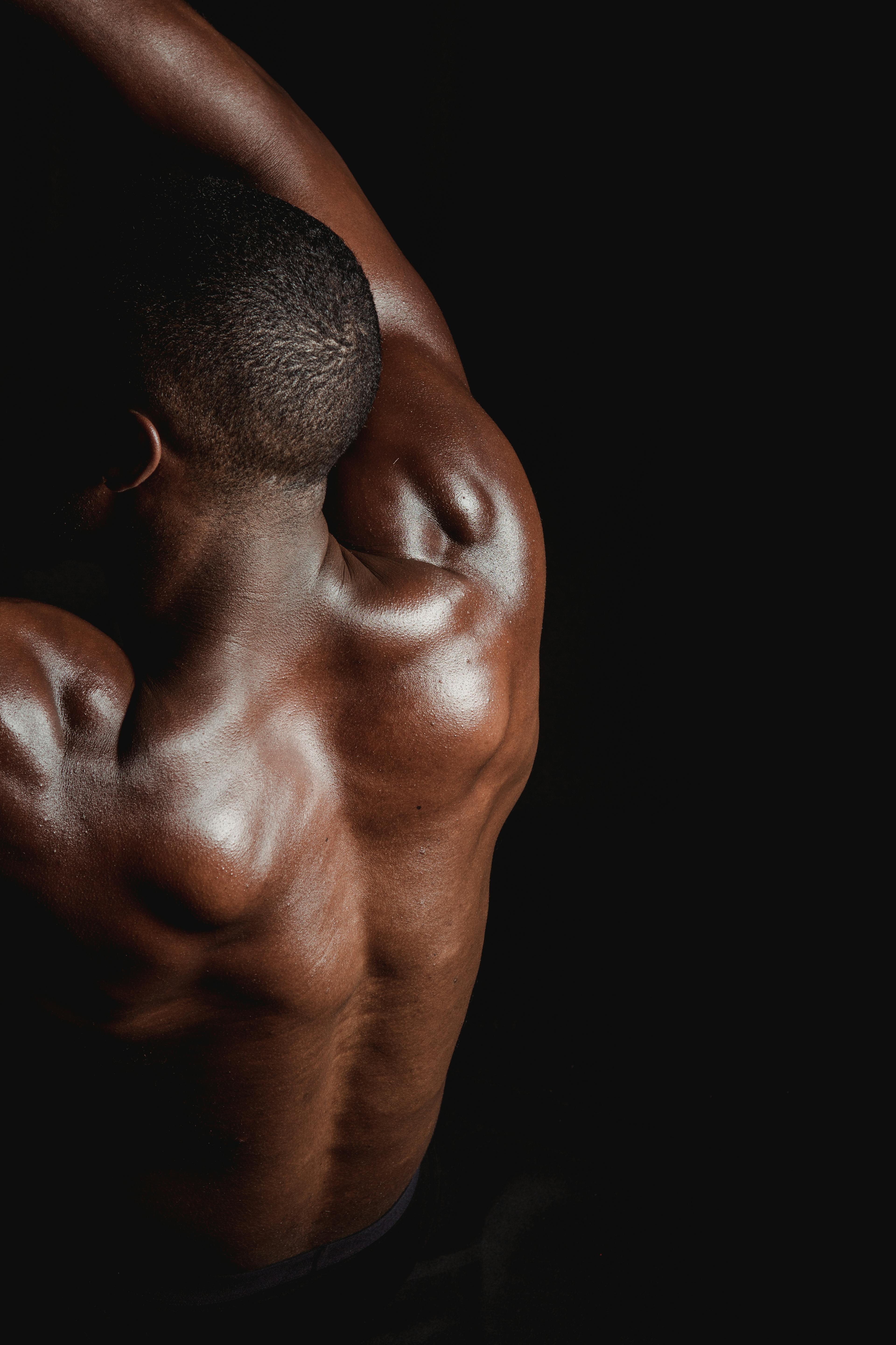 Shoulder Press Muscles